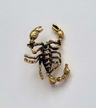 Brosch, söt liten skorpion (variant 1)