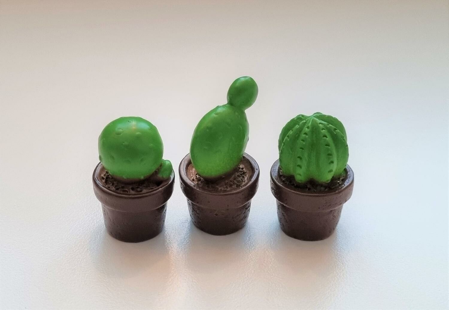 3 st kaktusar, minikaktusar, miniatyrer