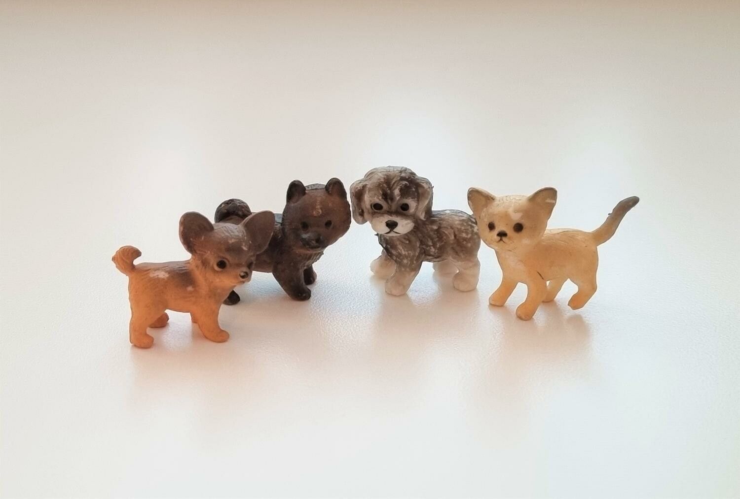 4 st Hundar miniatyr, miniatyrhundar, minihund