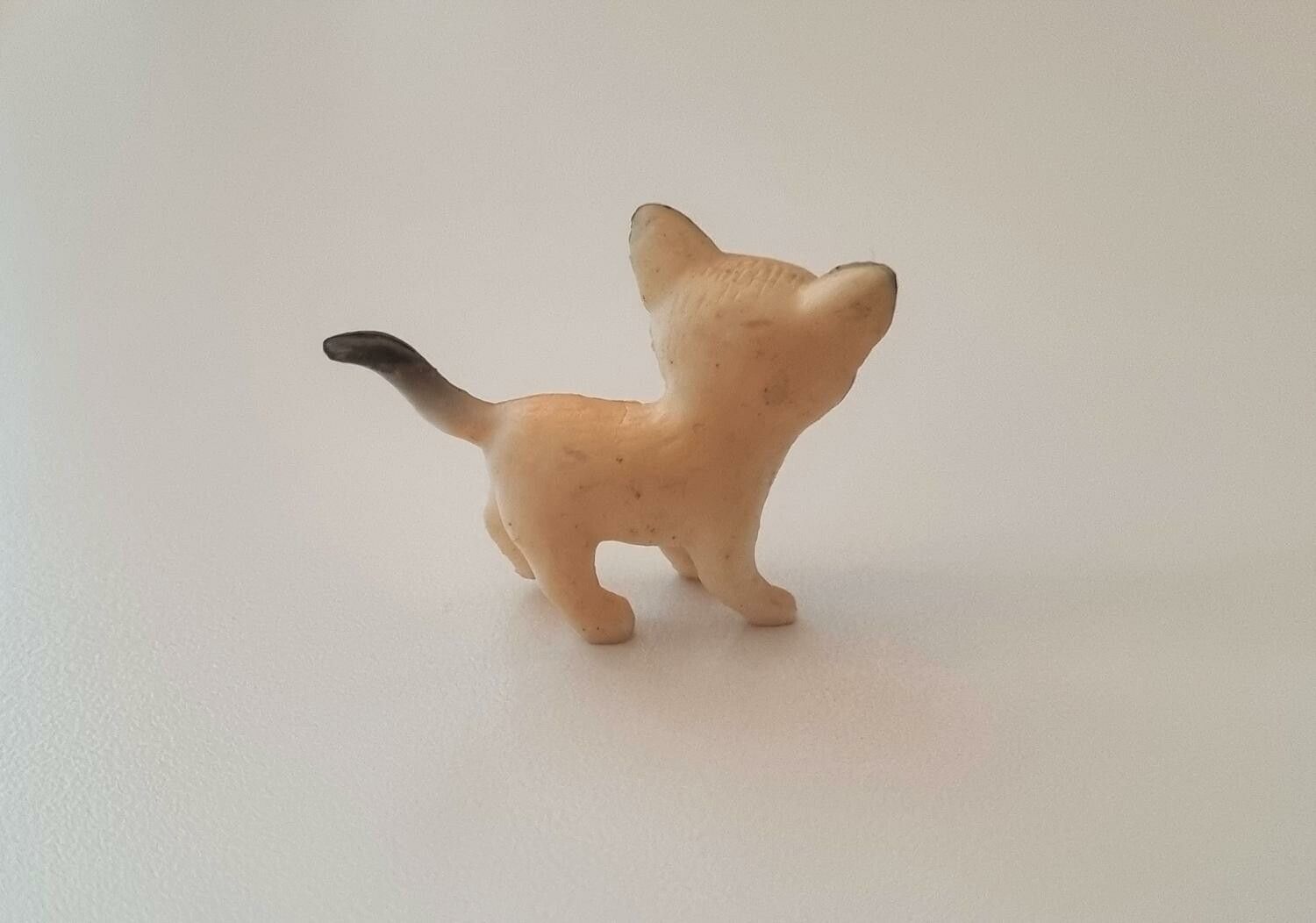 Hund miniatyr, miniatyrhund, minihund (variant 16)