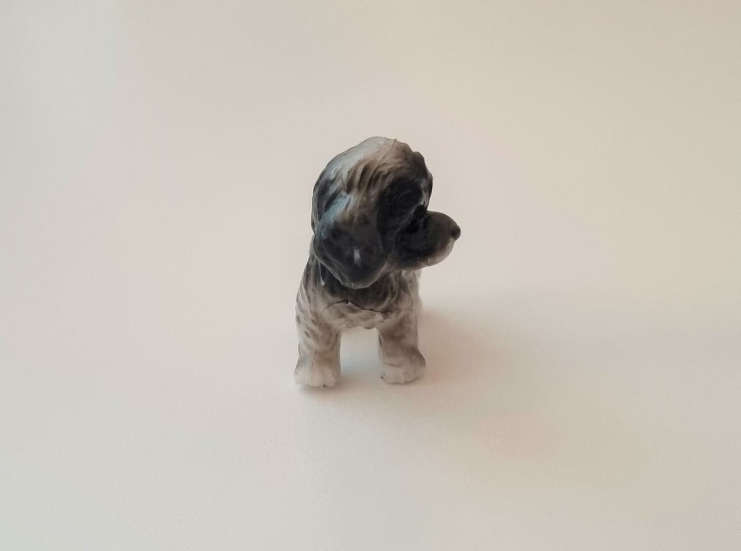 Hund miniatyr, miniatyrhund, minihund (variant 15)