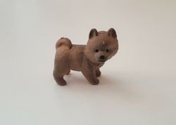 Hund miniatyr, miniatyrhund, minihund (variant 14)