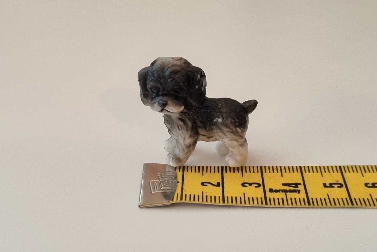 Hund miniatyr, miniatyrhund, minihund (variant 15)