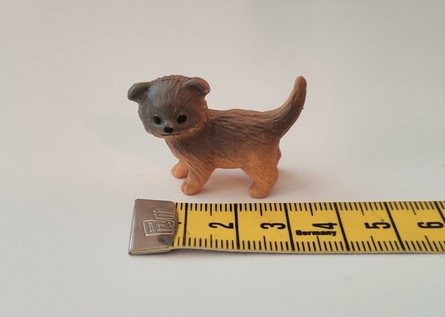 Hund miniatyr, miniatyrhund, minihund (variant 13)
