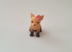 Hund miniatyr, miniatyrhund, minihund (variant 10)