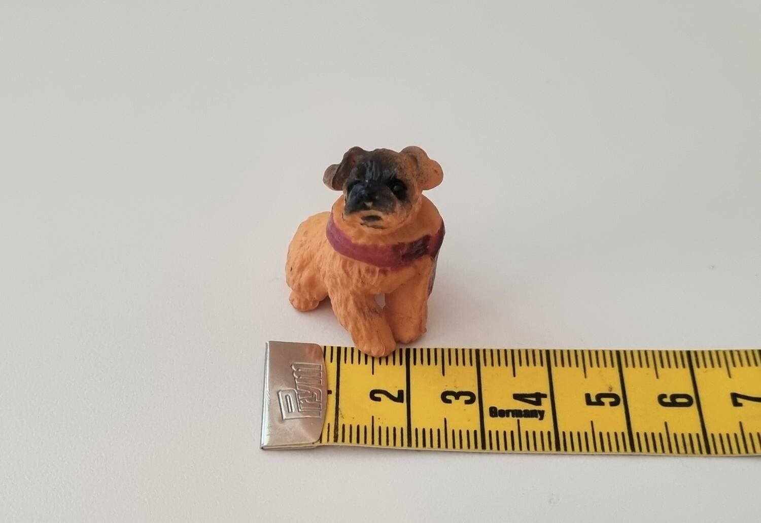 Hund miniatyr, miniatyrhund, minihund (variant 11)