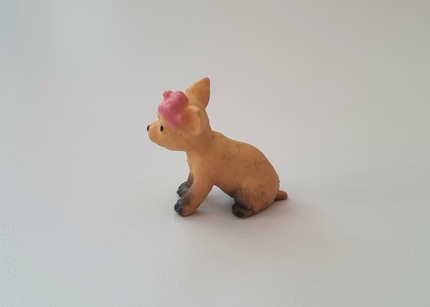 Hund miniatyr, miniatyrhund, minihund (variant 10)