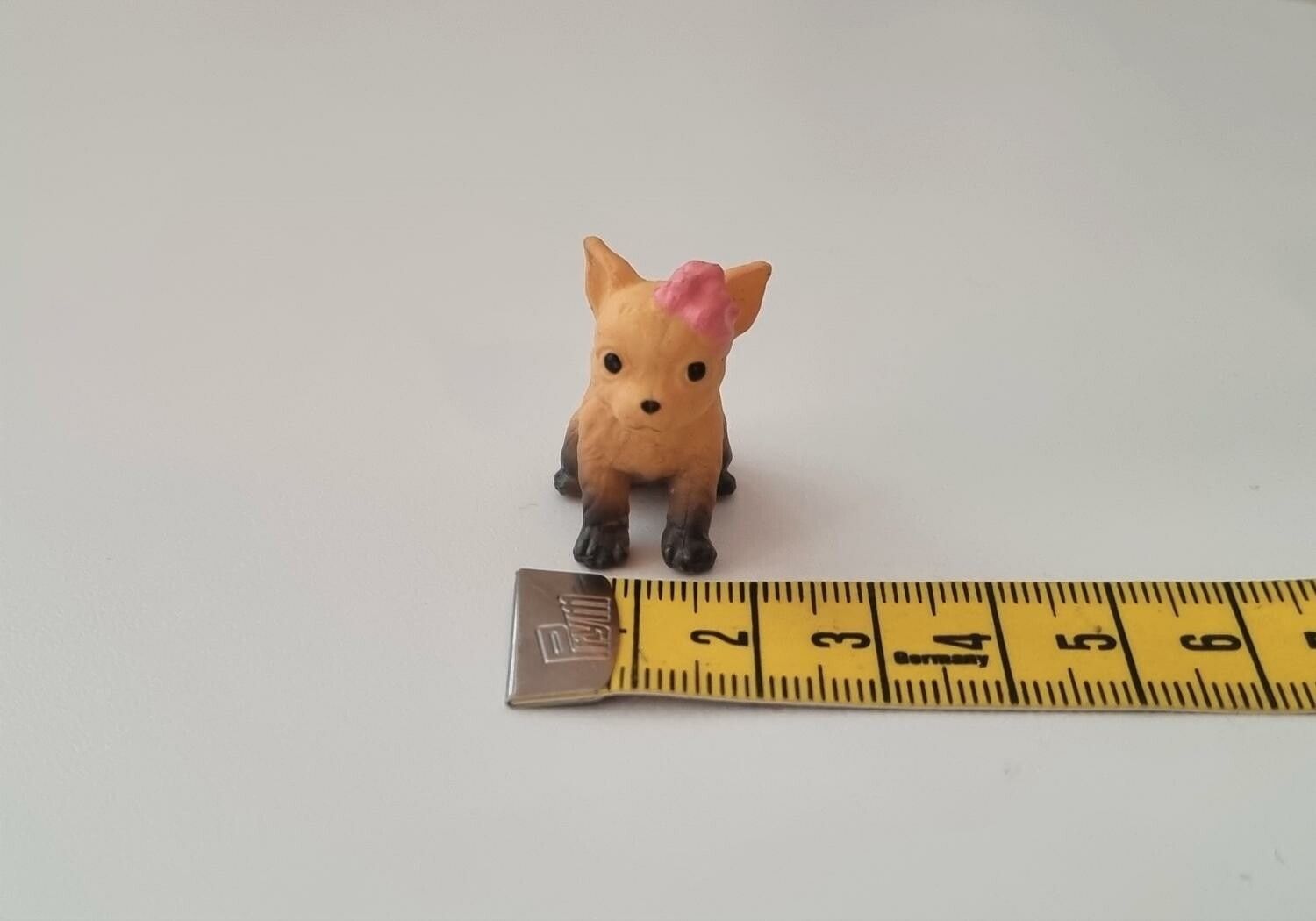 Hund miniatyr, miniatyrhund, minihund (variant 10)
