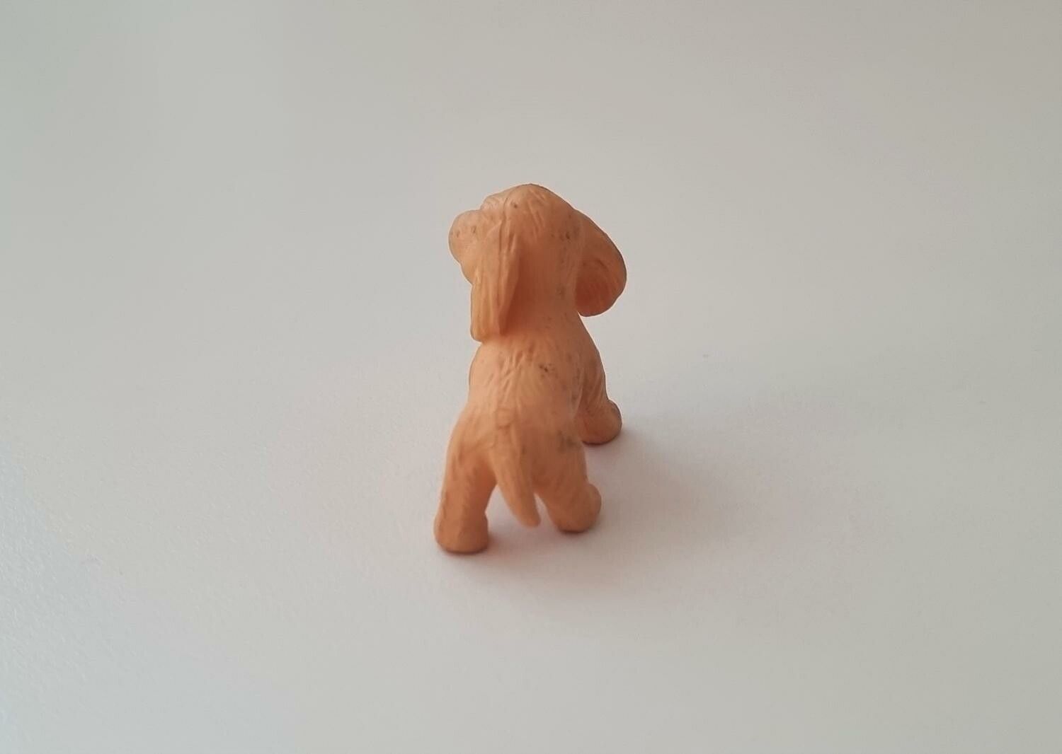 Hund miniatyr, miniatyrhund, minihund (variant 9)