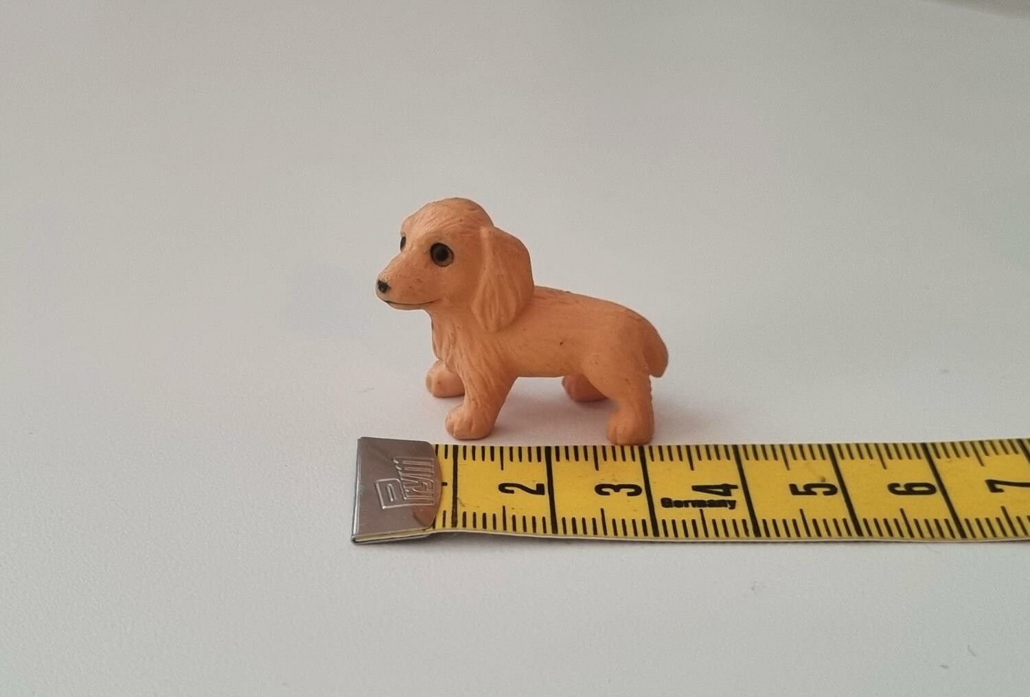 Hund miniatyr, miniatyrhund, minihund (variant 9)