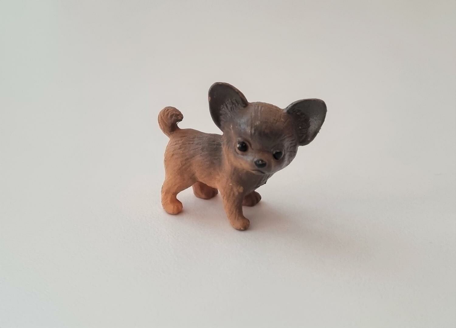 Hund miniatyr, miniatyrhund, minihund (variant 8)