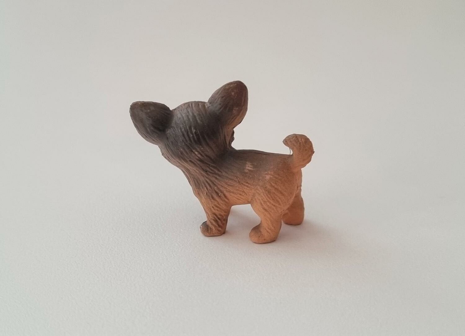 Hund miniatyr, miniatyrhund, minihund (variant 8)