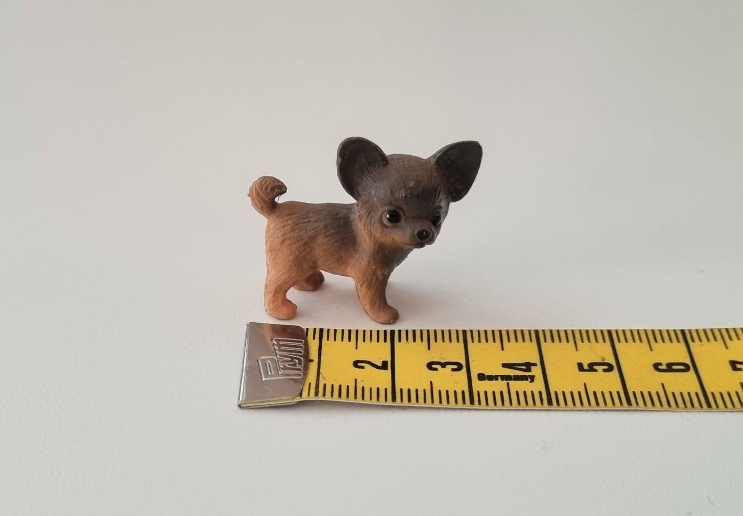 Hund miniatyr, miniatyrhund, minihund (variant 8)