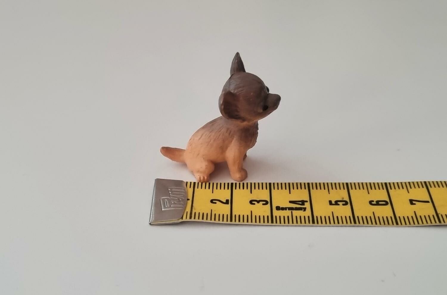 Hund miniatyr, miniatyrhund, minihund (variant 7)