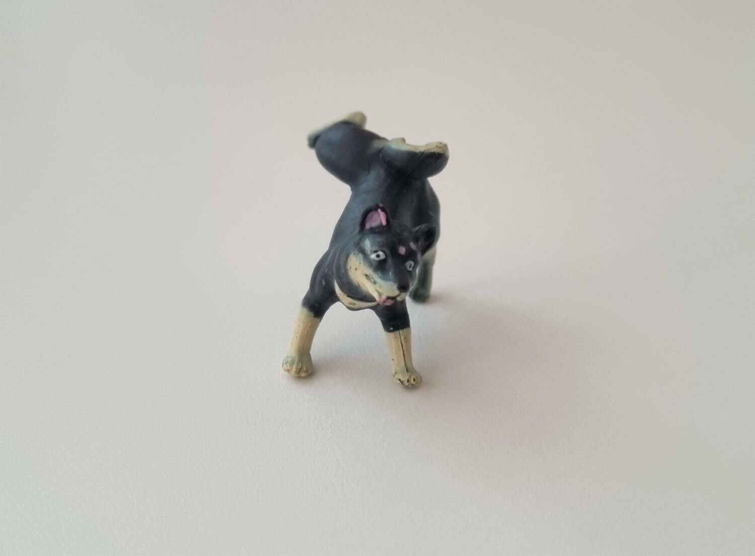Hund miniatyr, miniatyrhund, minihund (variant 4)