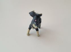 Hund miniatyr, miniatyrhund, minihund (variant 4)