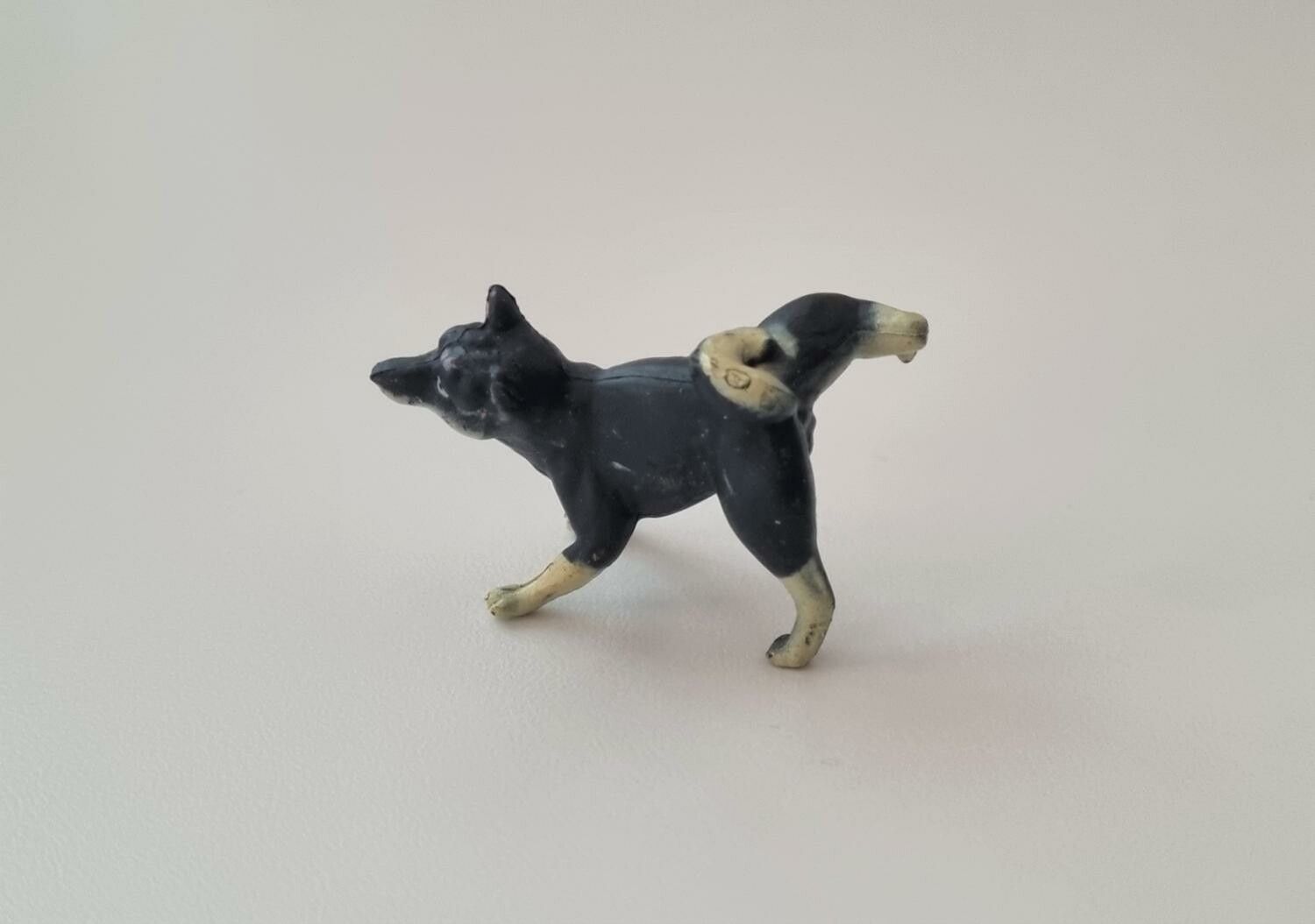 Hund miniatyr, miniatyrhund, minihund (variant 4)