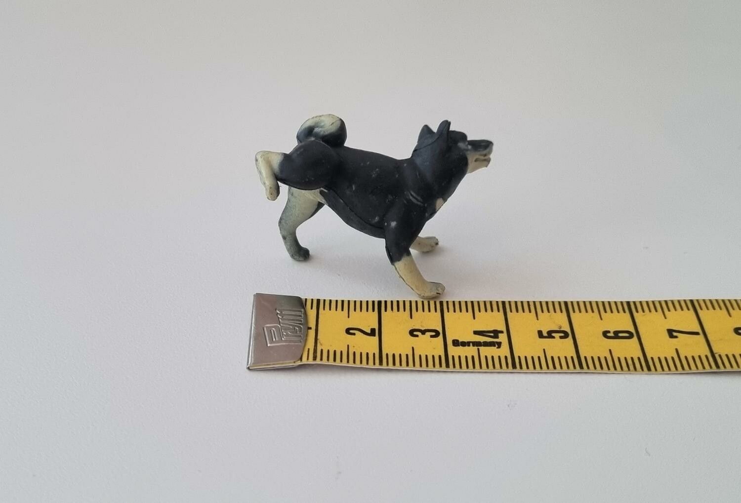Hund miniatyr, miniatyrhund, minihund (variant 4)
