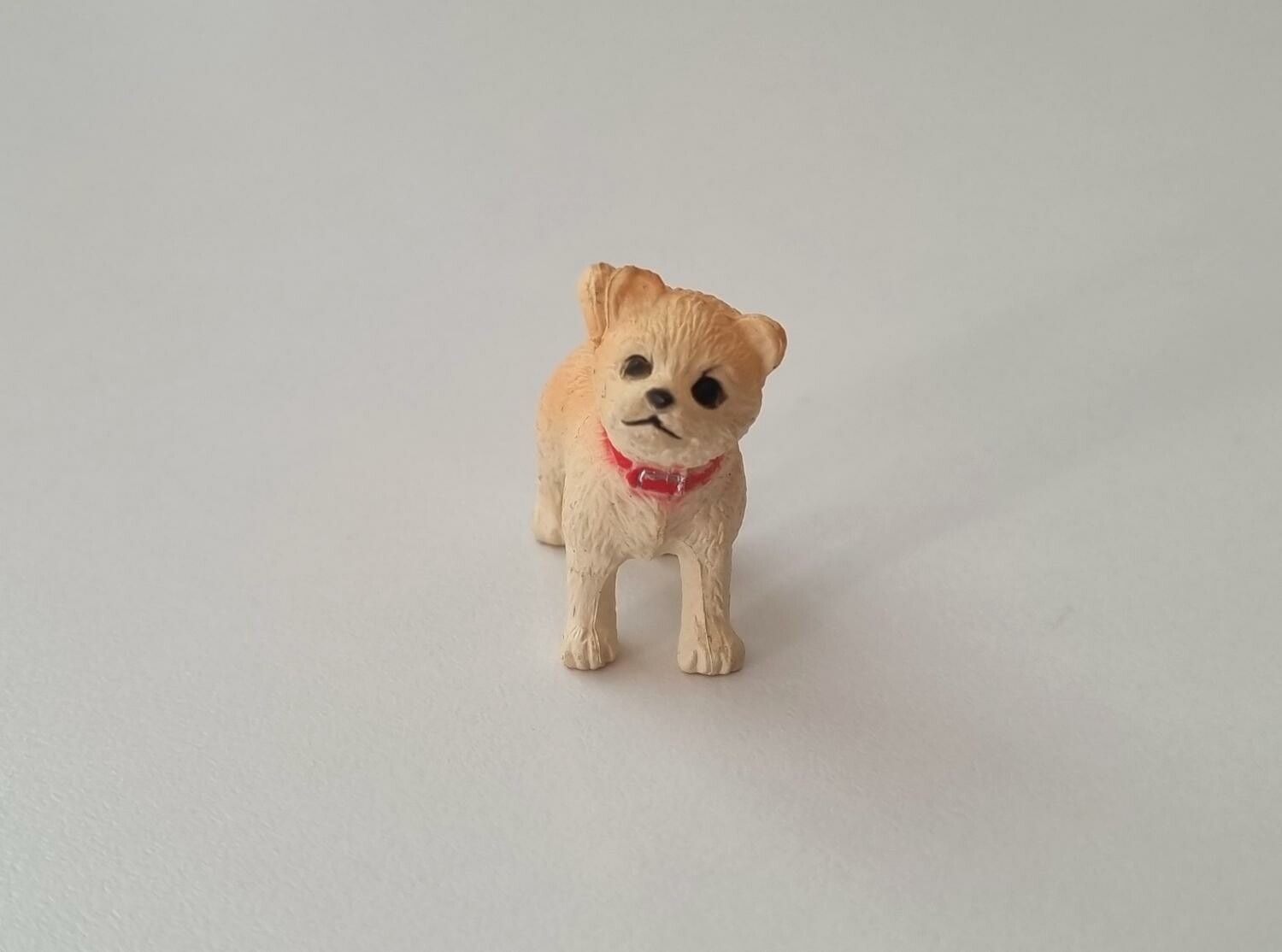 Hund miniatyr, miniatyrhund, minihund (variant 3)