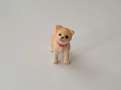 Hund miniatyr, miniatyrhund, minihund (variant 3)