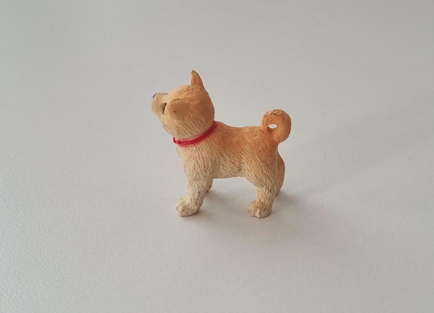 Hund miniatyr, miniatyrhund, minihund (variant 3)