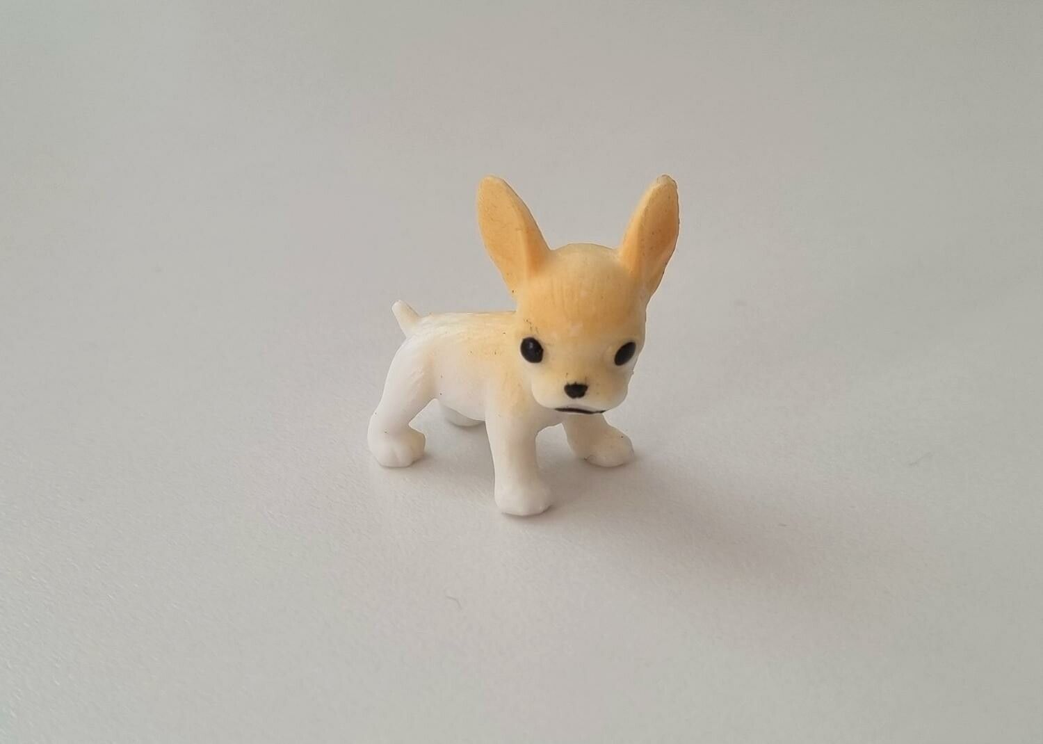 Hund miniatyr, miniatyrhund, minihund (variant 2)