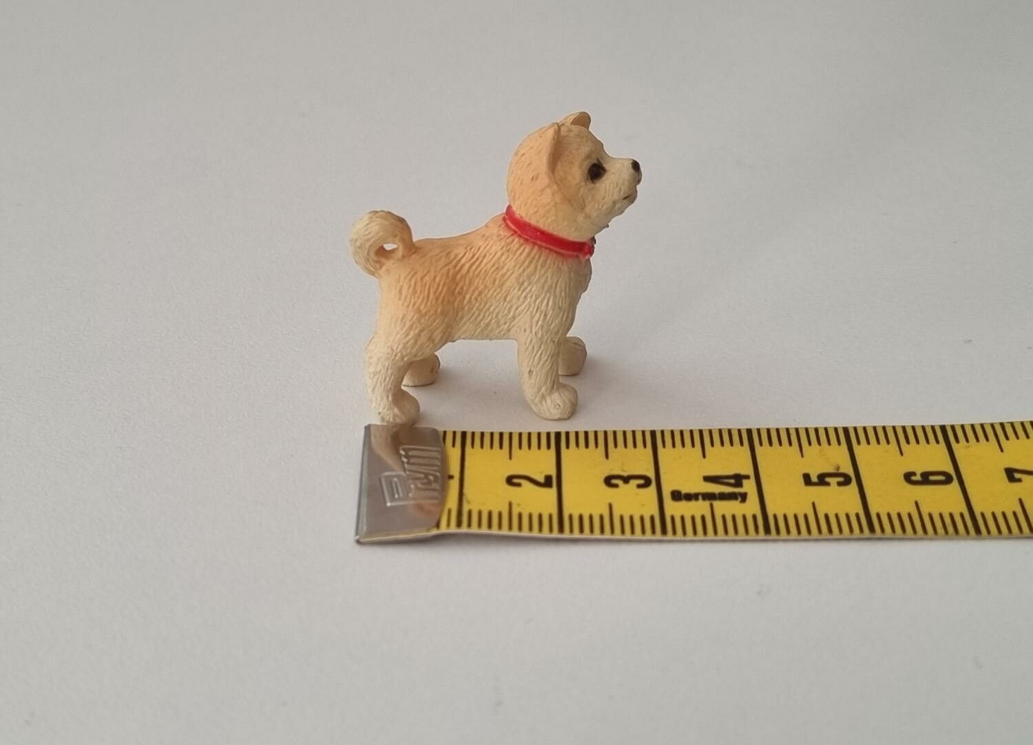 Hund miniatyr, miniatyrhund, minihund (variant 3)