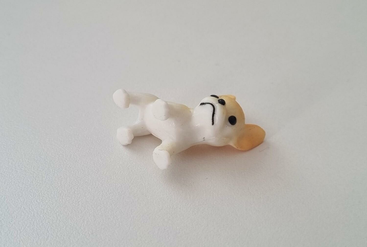 Hund miniatyr, miniatyrhund, minihund (variant 2)