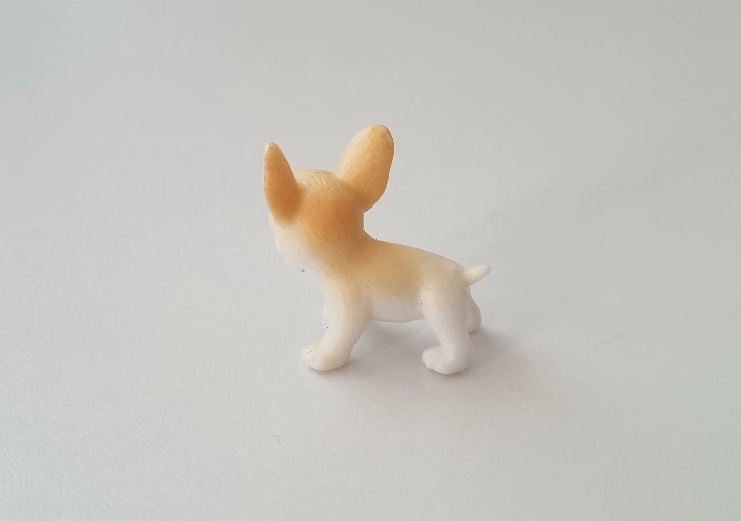 Hund miniatyr, miniatyrhund, minihund (variant 2)