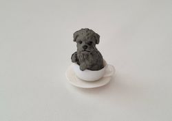 Hund miniatyr, miniatyrhund, minihund (variant 1)