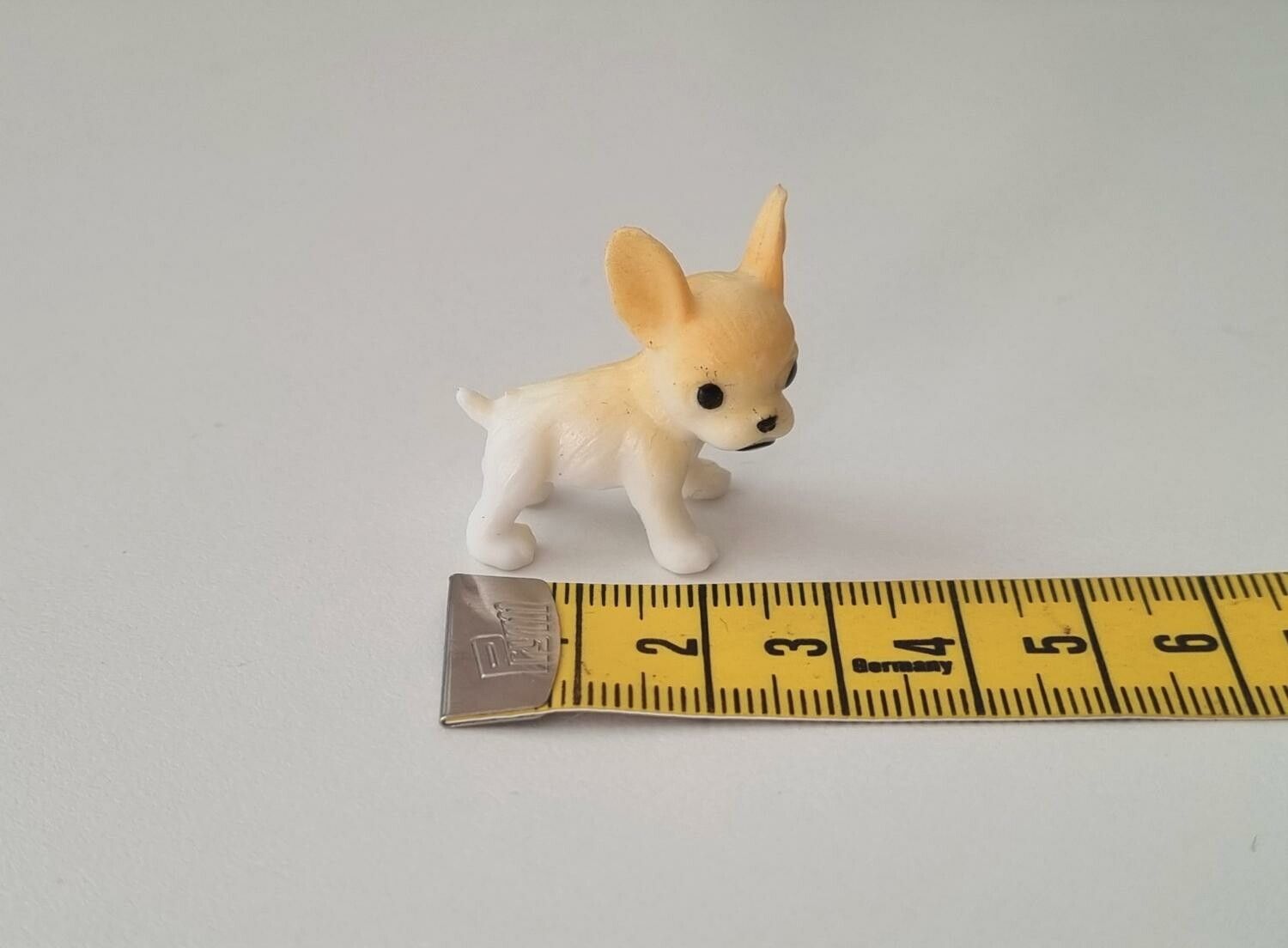 Hund miniatyr, miniatyrhund, minihund (variant 2)