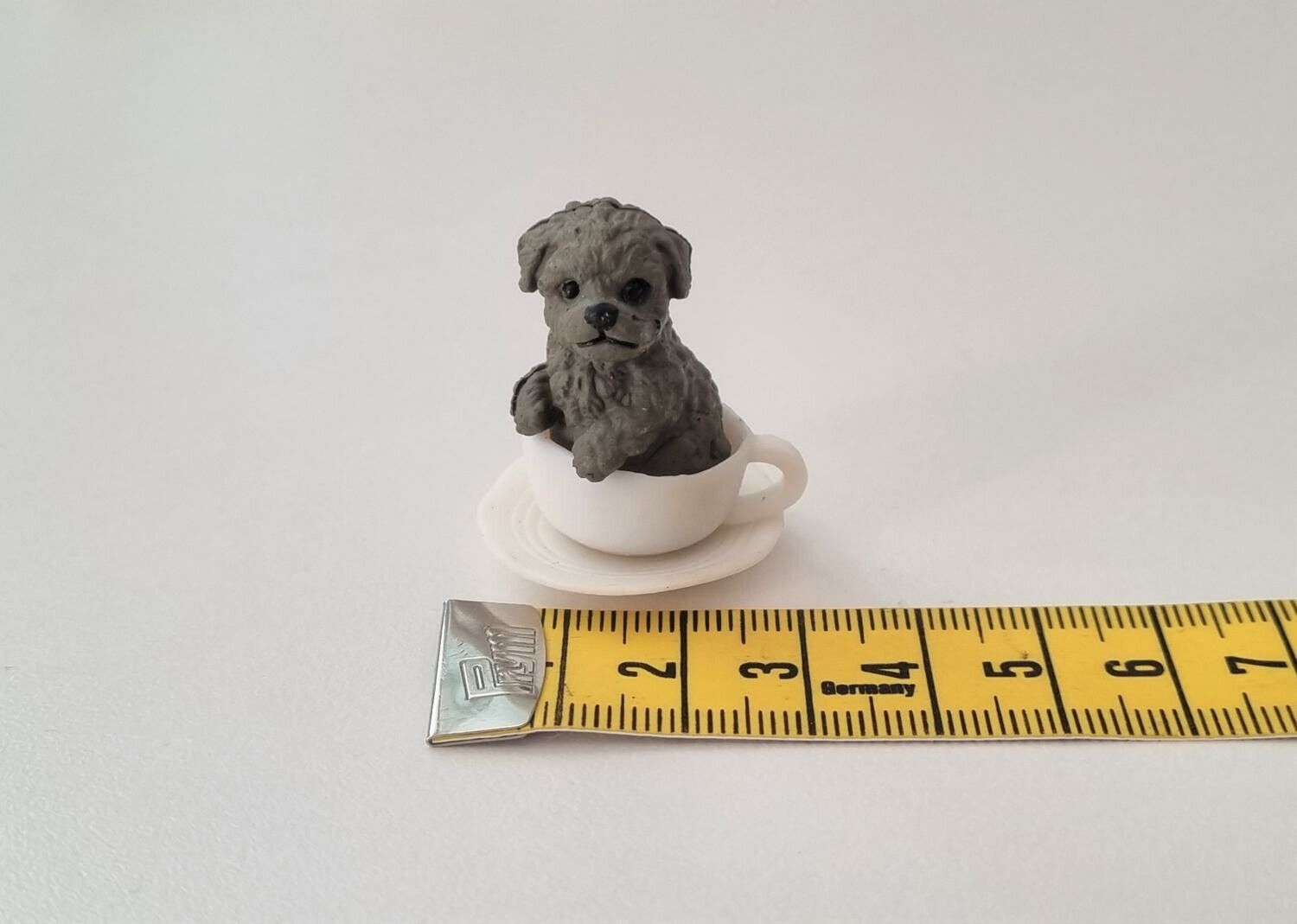 Hund miniatyr, miniatyrhund, minihund (variant 1)