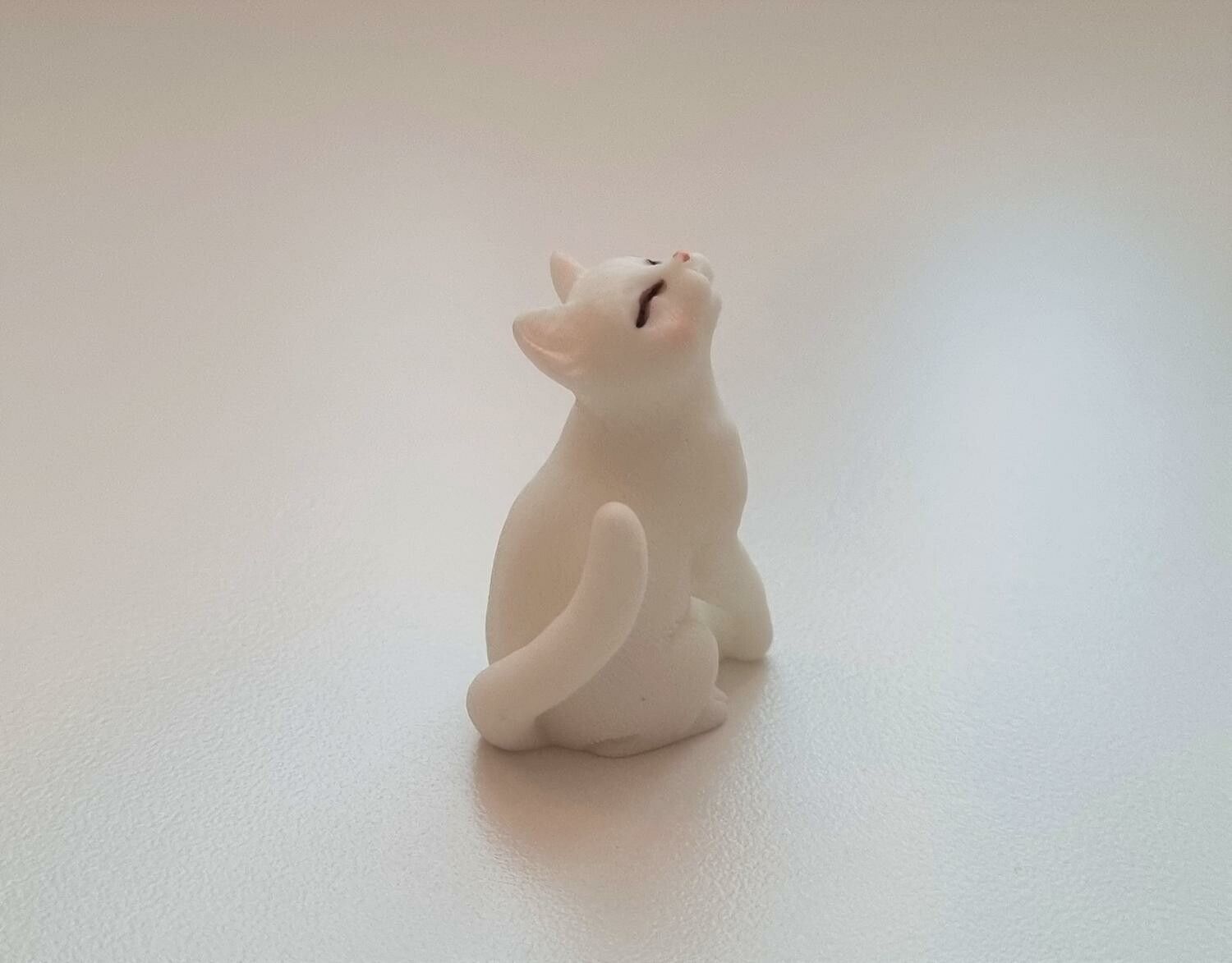 Katt miniatyr, miniatyrkatt, minikatt