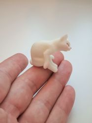 Katt miniatyr, miniatyrkatt, minikatt