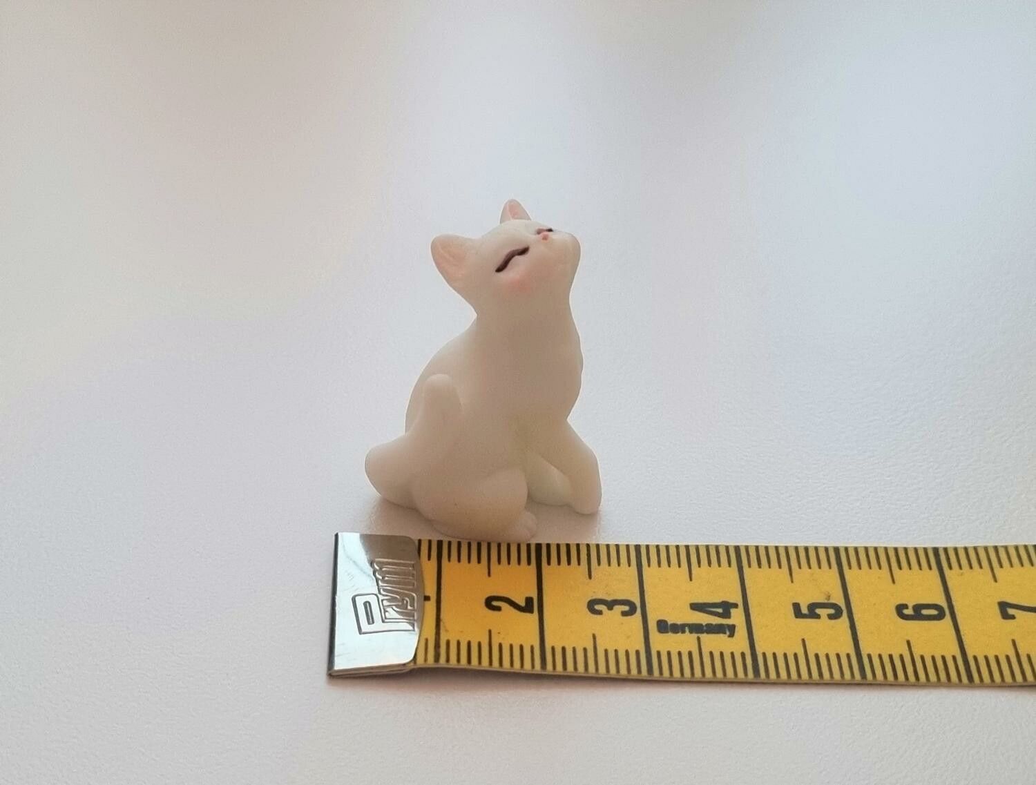 Katt miniatyr, miniatyrkatt, minikatt