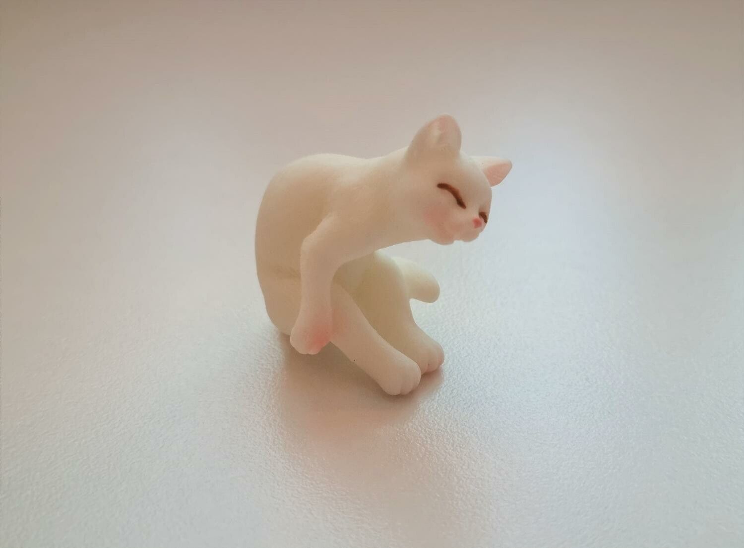 Katt miniatyr, miniatyrkatt, minikatt