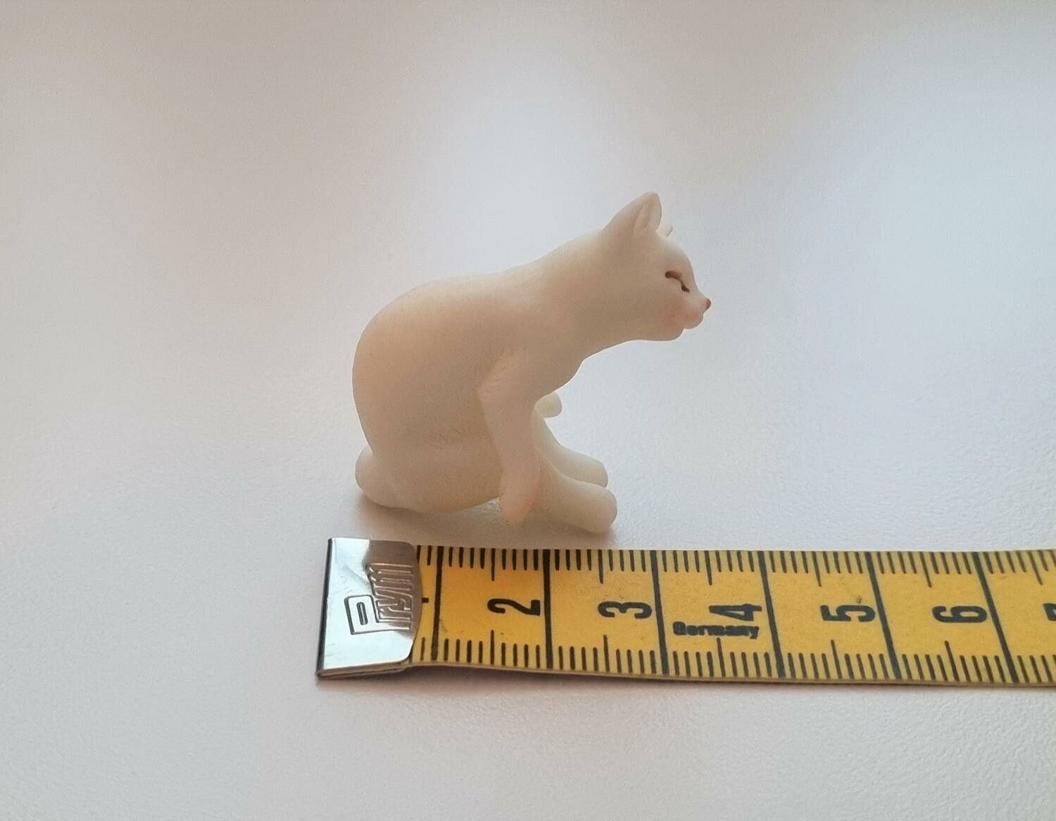 Katt miniatyr, miniatyrkatt, minikatt