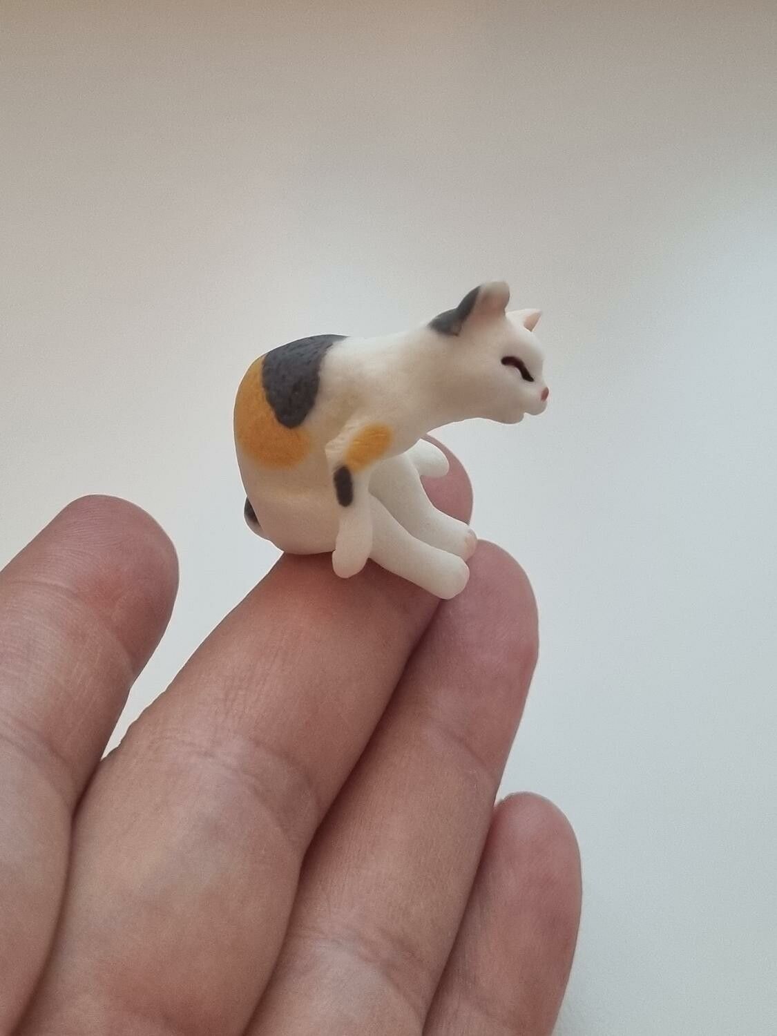 Katt miniatyr, miniatyrkatt, minikatt