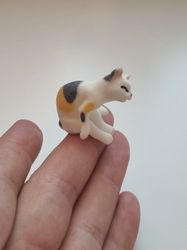 Katt miniatyr, miniatyrkatt, minikatt