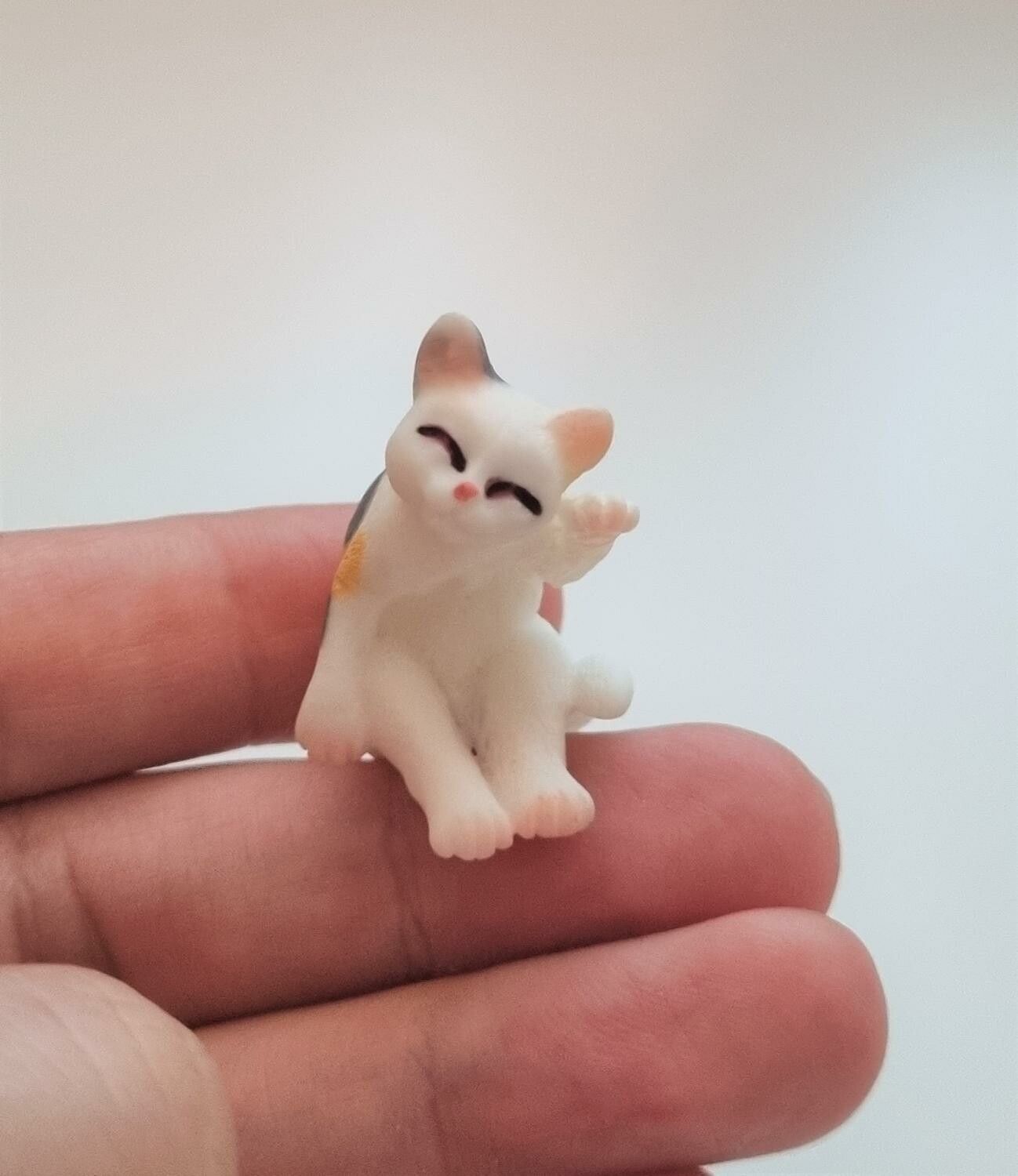 Katt miniatyr, miniatyrkatt, minikatt
