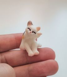 Katt miniatyr, miniatyrkatt, minikatt