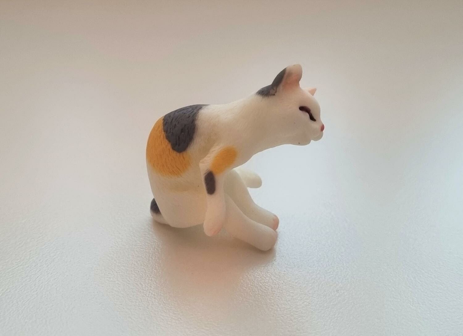 Katt miniatyr, miniatyrkatt, minikatt