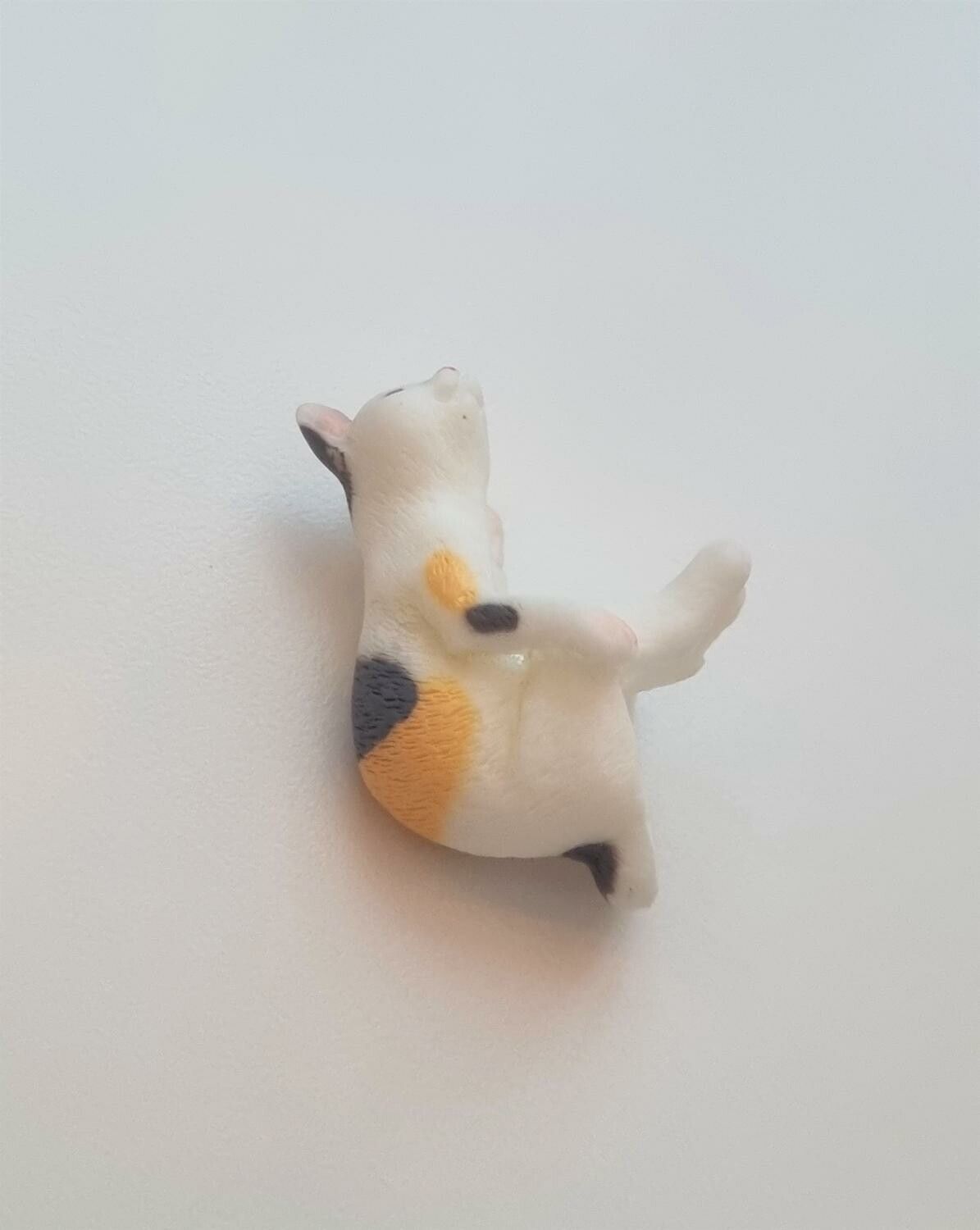 Katt miniatyr, miniatyrkatt, minikatt