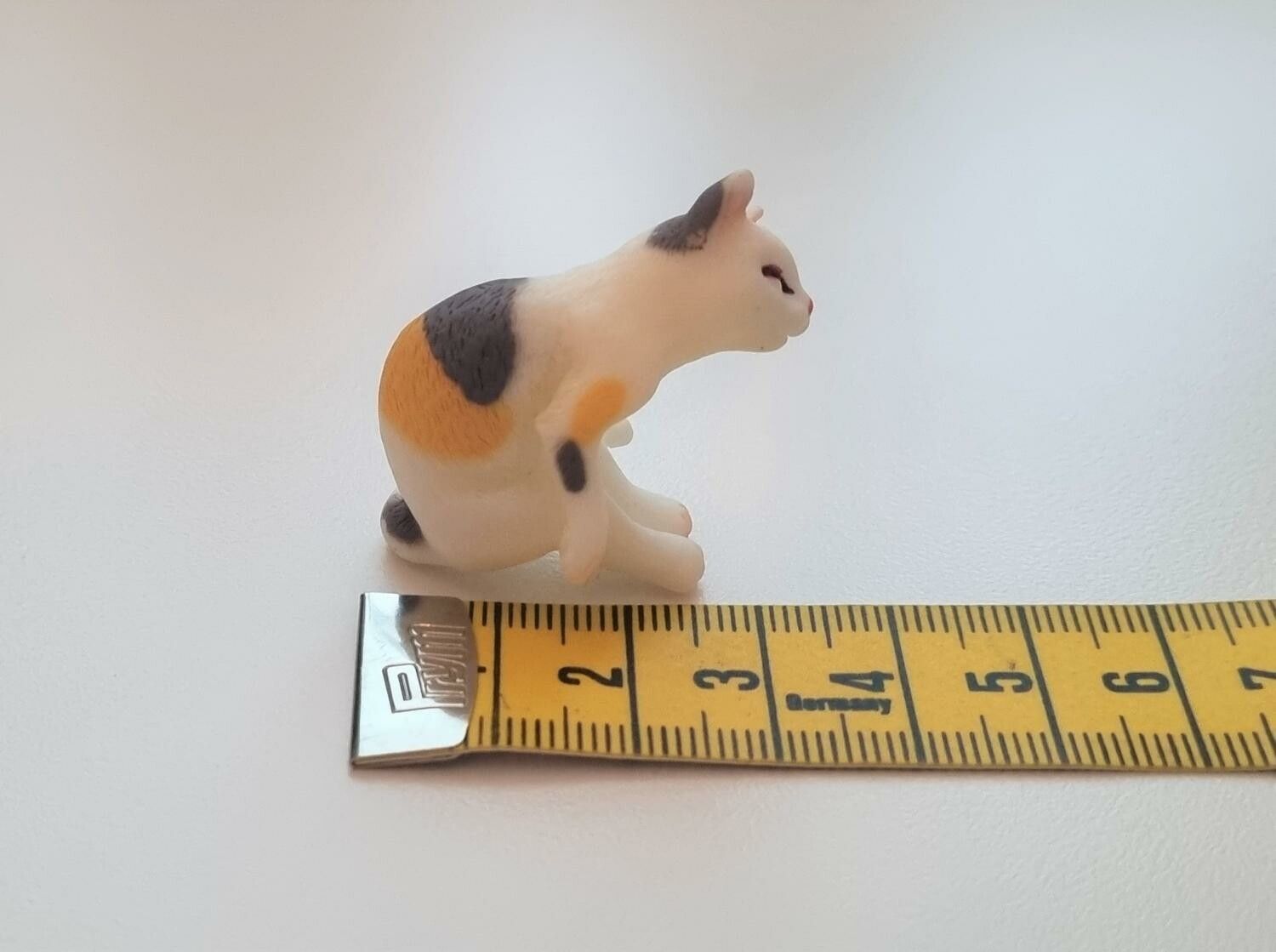 Katt miniatyr, miniatyrkatt, minikatt