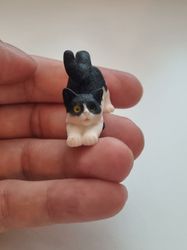 Katt miniatyr, miniatyrkatt, minikatt
