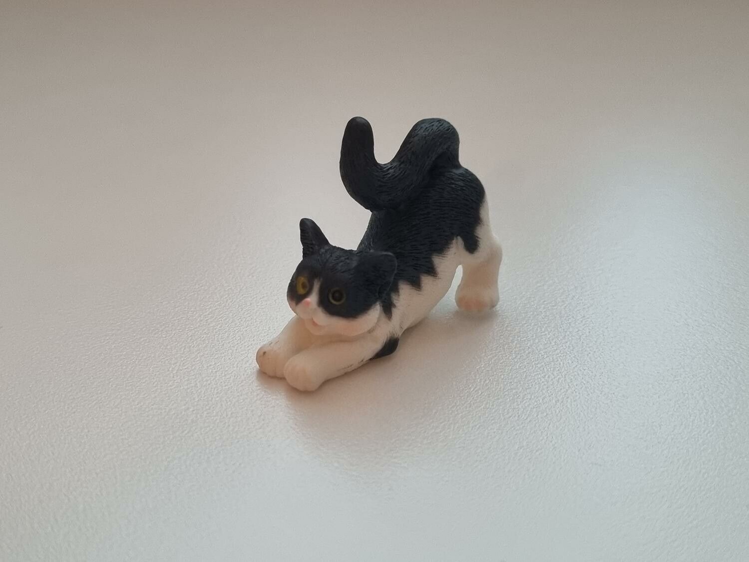 Katt miniatyr, miniatyrkatt, minikatt