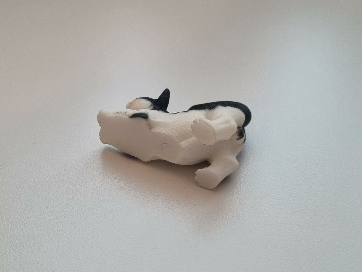Katt miniatyr, miniatyrkatt, minikatt