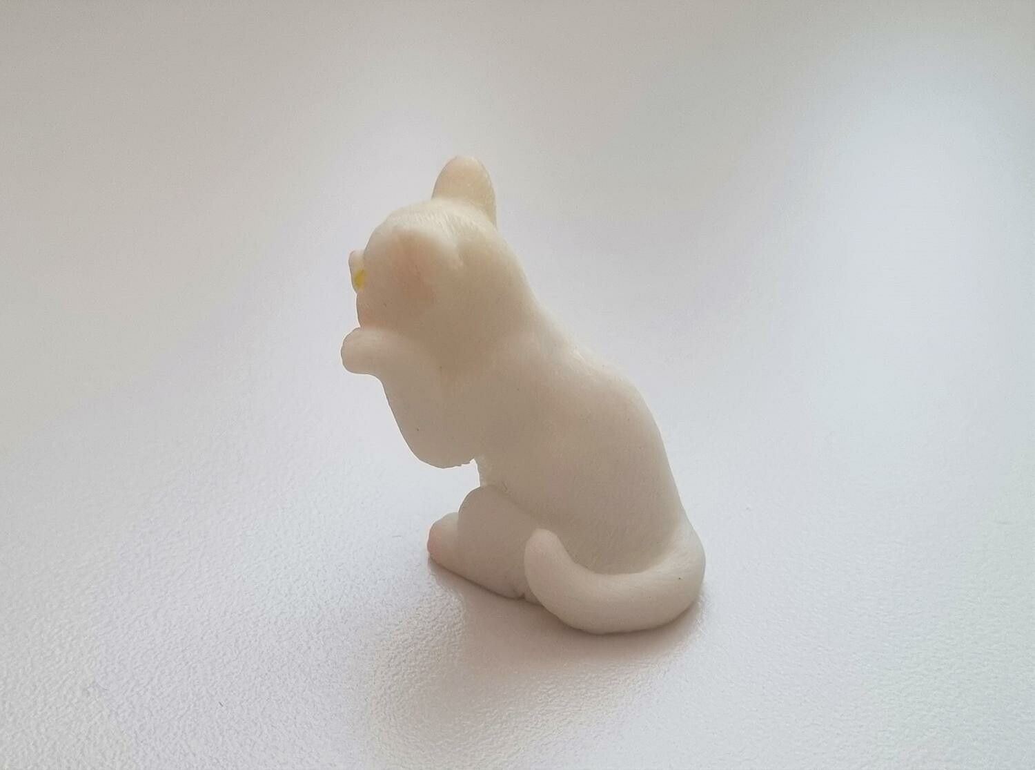 Katt miniatyr, miniatyrkatt, minikatt