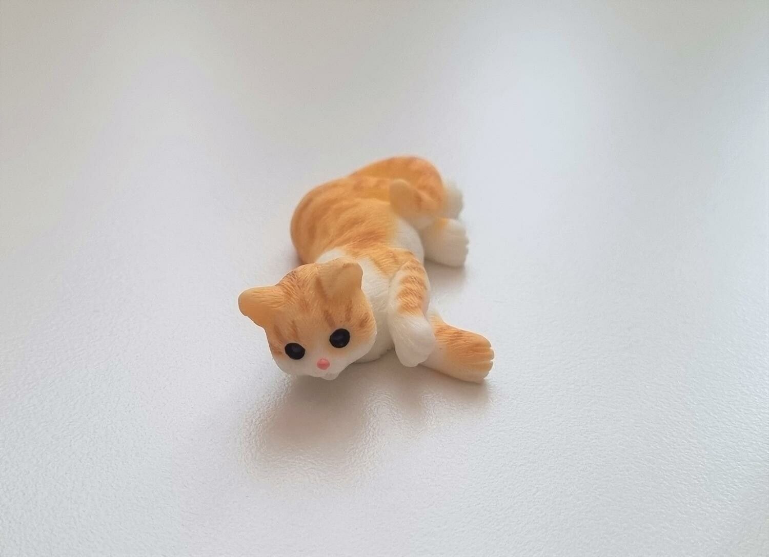 Katt miniatyr, miniatyrkatt, minikatt