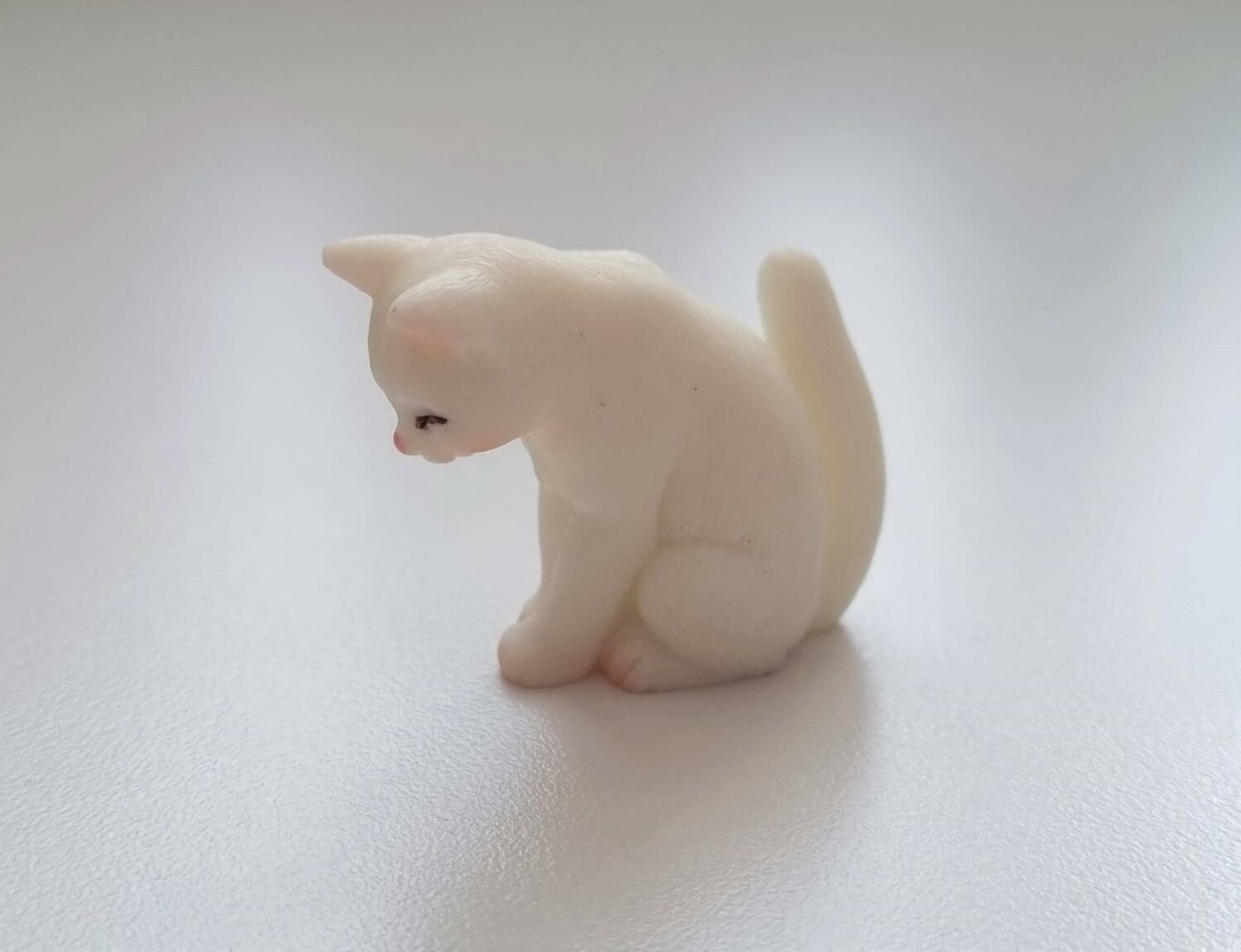 Katt miniatyr, miniatyrkatt, minikatt